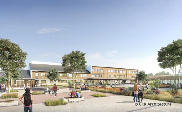 OPyralis-pers-PArvis-finale